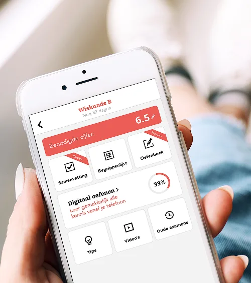Oefenboek wiskunde a havo app inhoud